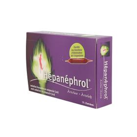 ZAMBON Hepanephrol 20 ampoules de 10ml