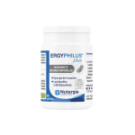 NUTERGIA Ergyphilus plus 60  gélules