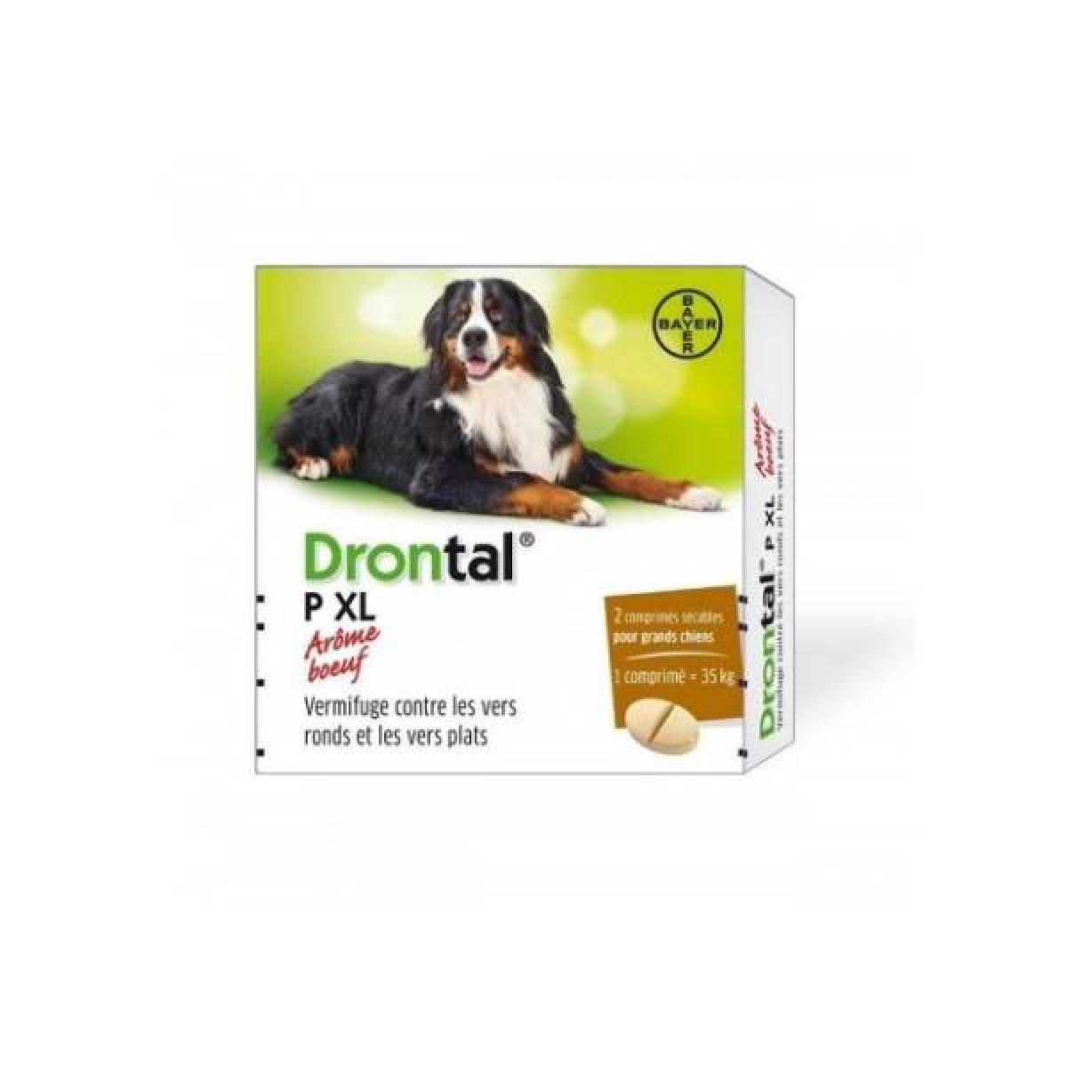 BAYER Drontal chien P XL 2 comprimés Parapharmacie Pharmarket