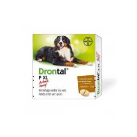 BAYER Drontal chien P XL 2 comprimés