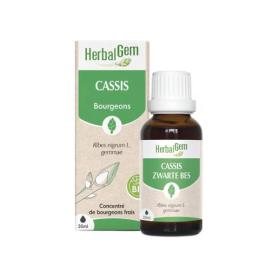 HERBALGEM Cassis bio 30ml