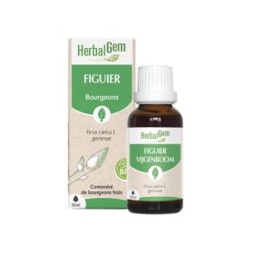 HERBALGEM Figuier bio 30ml