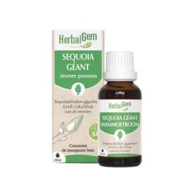 HERBALGEM Sequoia géant bio 30ml