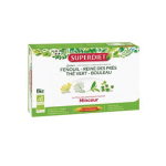 SUPER DIET Quatuor thé vert minceur bio 20 ampoules