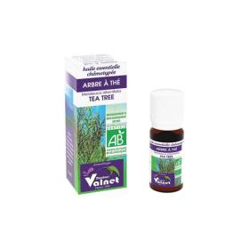 DOCTEUR VALNET Huile essentielle arbre à thé 10ml