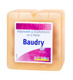 BOIRON Baudry pâtes à sucer 70g