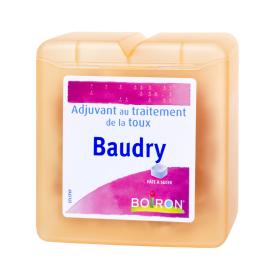 BOIRON Baudry pâtes à sucer 70g