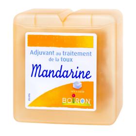 BOIRON Pâtes pectorales à la mandarine 60g