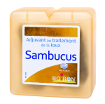 BOIRON Pâtes de réglisse au sambucus 70g