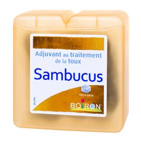 BOIRON Pâtes de réglisse au sambucus 70g