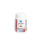 NUTERGIA Vectipur 60 gélules