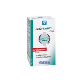 NUTERGIA Ergycartil fort 15 sachets