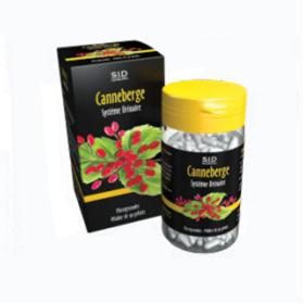 SID NUTRITION Système urinaire canneberge 90 gélules