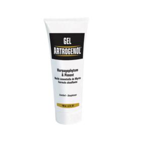 NUTRI EXPERT Gel artrogenol 100ml