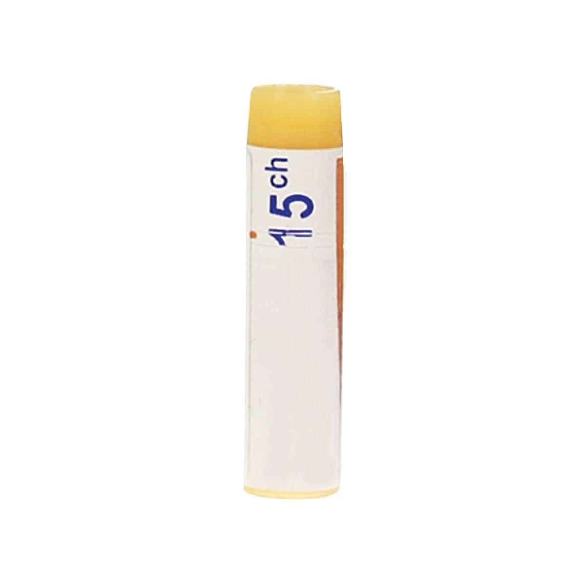 Boiron Colocynthis 15ch Medicaments Pharmarket