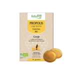 HERBALGEM Bio propolis large spectre 24 gommes