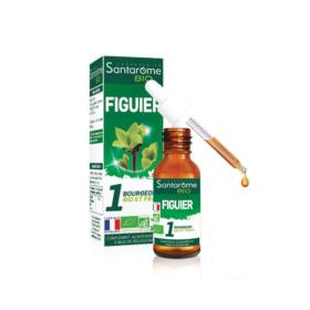 SANTAROME Bio figuier 30ml