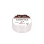 CATTIER Beurre de karité 100% bio 20g