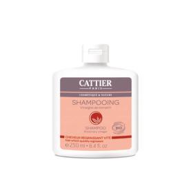 CATTIER Shampooing cheveux vinaigre de romarin 250ml