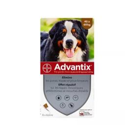 BAYER Advantix grand chien 40 à 60kg 6 pipettes