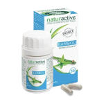 NATURACTIVE Bambou 60 gélules