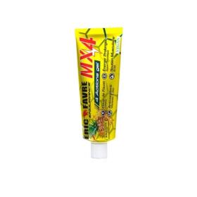 ERIC FAVRE Endurance MX4 gel saveur ananas 70g