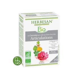 HERBESAN Bio articulations 60 gélules