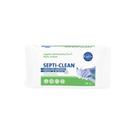 GIFRER 30 lingettes désinfectantes septi-clean