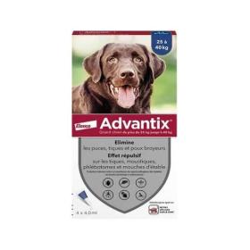 BAYER Advantix grand chien 25 à 40 kg 6 pipettes