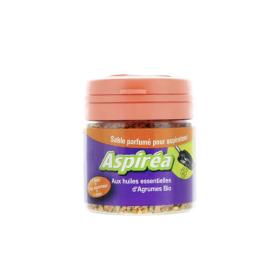 ASPIREA Aspiréa désodorisant aspirateur agrumes 60g