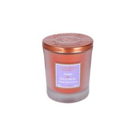 COLLINES DE PROVENCE Bougie parfumée ambre et héliotrope 180g