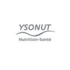 logo marque YSONUT