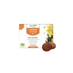 HERBALGEM 24 gommes chantres bio