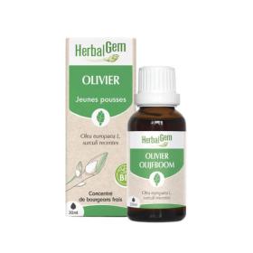 HERBALGEM Olivier bio 30ml