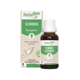 HERBALGEM Sorbier bio 30ml