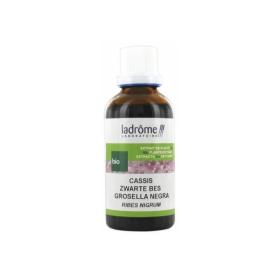 LADRÔME Extrait de plante fraîche bio cassis 50ml