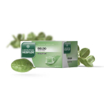 MEDIFLOR Infusions boldo digestion 24 sachets