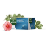 MEDIFLOR Infusions n°13 purifiante drainante 24 sachets