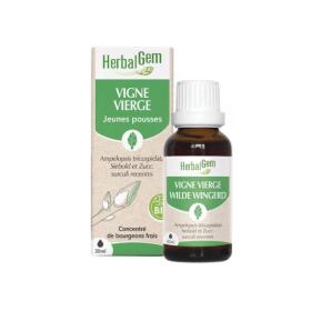 HERBALGEM Vigne vierge bio 30ml