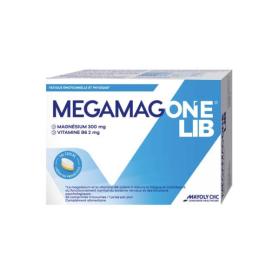 MAYOLY SPINDLER Megamag one lib 300mg 45 comprimés