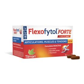 TILMAN Flexofytol forte 28 comprimés