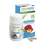 NATURACTIVE Harpagophyton bio 60 gélules