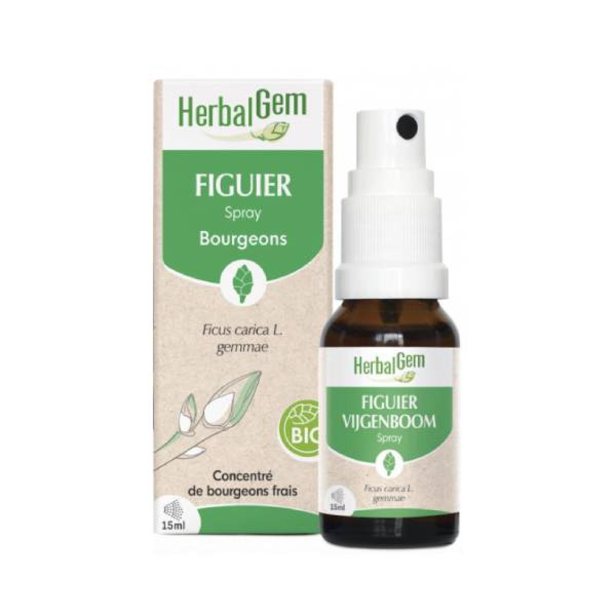 HERBALGEM Figuier bio spray 15ml Parapharmacie Pharmarket