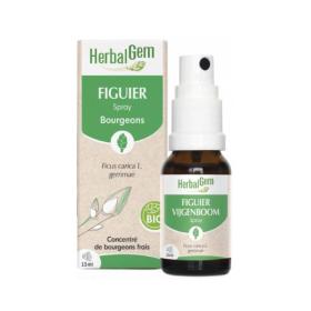 HERBALGEM Figuier bio spray 15ml