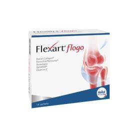 ALVITYL Flexart flogo 14 sachets