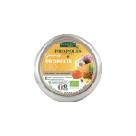 SANTAROME Propolis royale gommes propolis bio 45 gommes