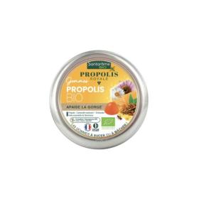 SANTAROME Propolis royale gommes propolis bio 45 gommes