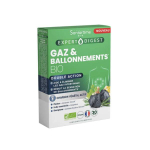 SANTAROME Gaz & ballonnements bio 30 gélules