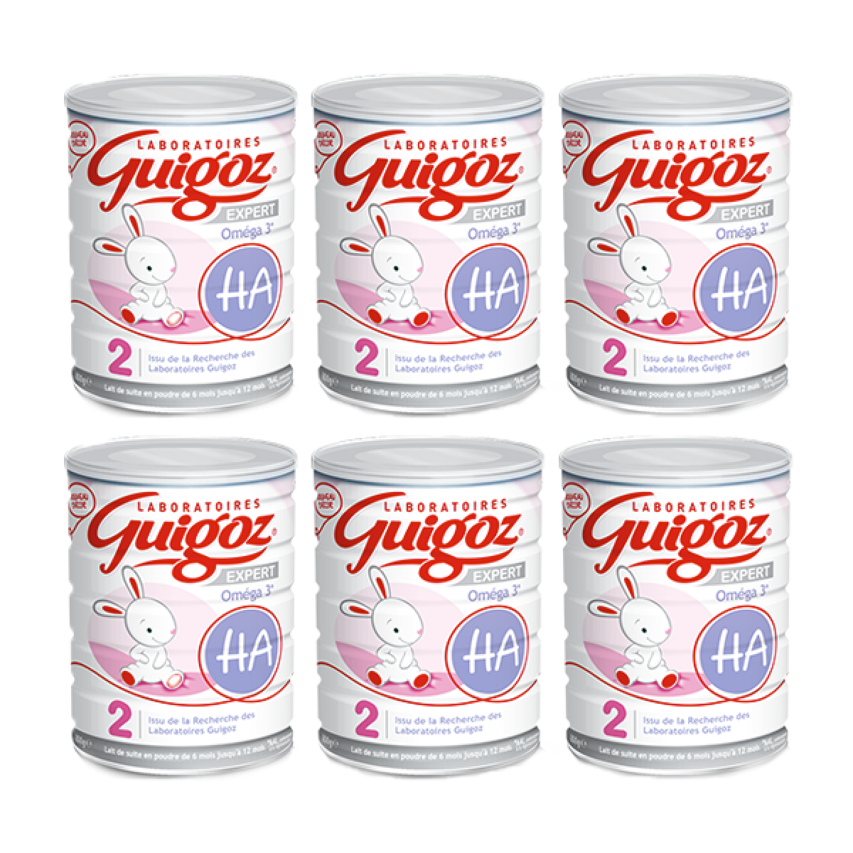 Guigoz Expert Ha 2eme Age Lot 6x800g Parapharmacie Pharmarket