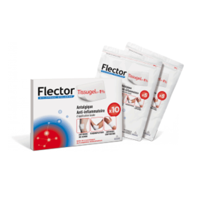 FLECTOR Tissugel ep 1% 10 emplâtres
